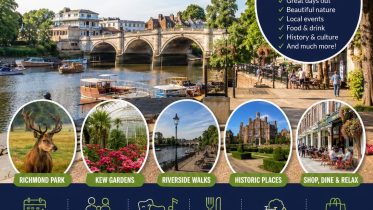 Discover Twickenham Your Local Guide